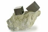 Two Natural Pyrite Cubes In Rock - Navajun, Spain #337885-1